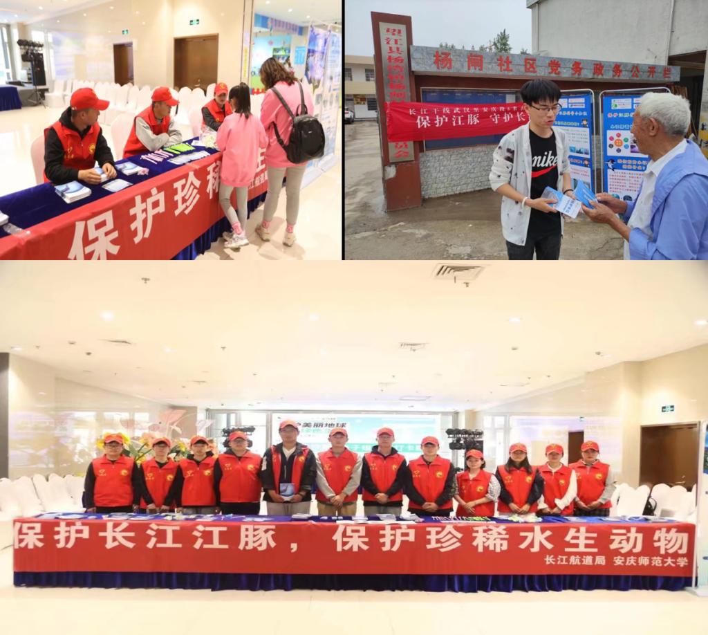 六合彩开奖结果查询